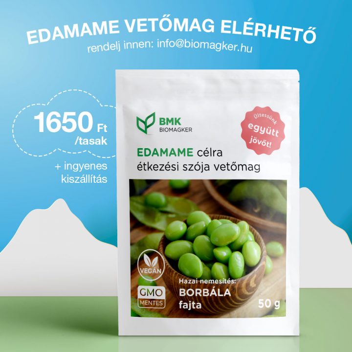 Edamame seed available